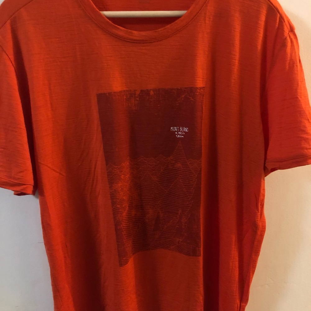 Icebreaker Merino Wool T-shirt